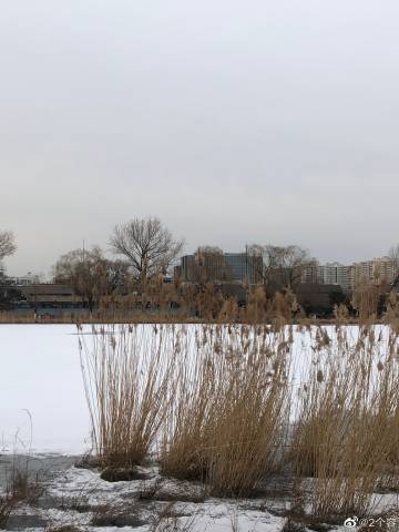 b体育-MutArchitecture和BenjaminMahon设计的“弹出式住宅”(图1) 必一