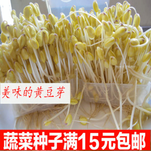 四川:大桥景观将大“变脸”|Bsports必一体育(图4) Bsports必一体育