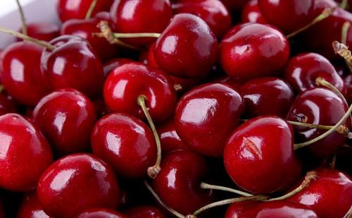 保留城市文化延续城市生命——记易道公司“改变与演变”论坛|b体育(图1) b体育