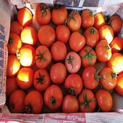 中国流行色协会首届国际高级色彩研修班暨第二届高级色彩培训班:Bsports必一体育(图2) Bsports必一体育