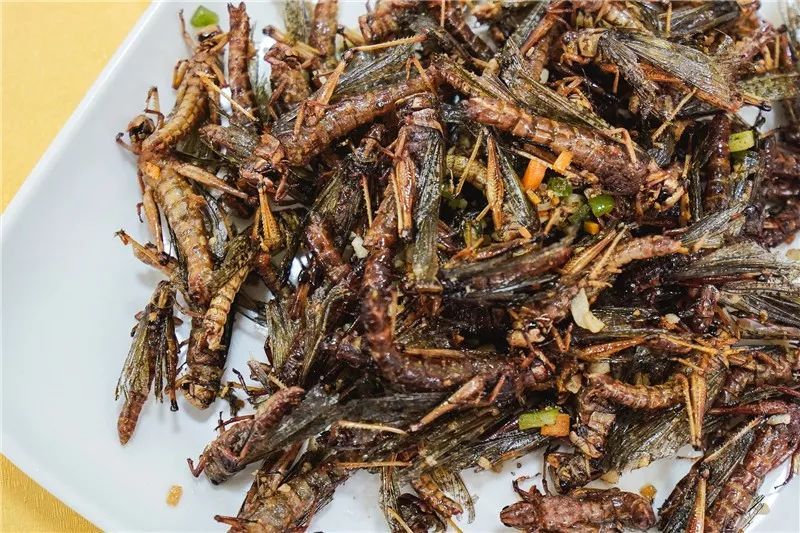 Bsports必一体育:历史文化名城保护应加强观念制度建设(图3) b体育