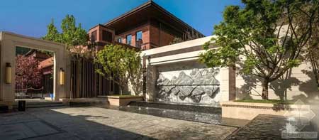 Bsports必一体育_有图有真相:你在蚂蚁森林种的树发芽了!(图1) 必一