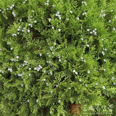 安徽省突发事件总体应急预案印发实施_b体育(图3) b体育