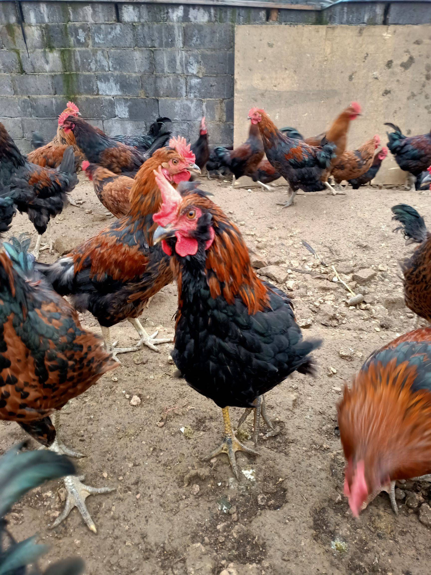 WinRAR怎样创建默认压缩_b体育(图2) b体育