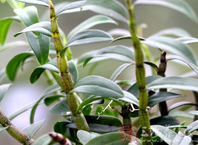 Bsports必一体育:搜狗浏览器怎么设置双击关闭网页(图2) Bsports必一体育