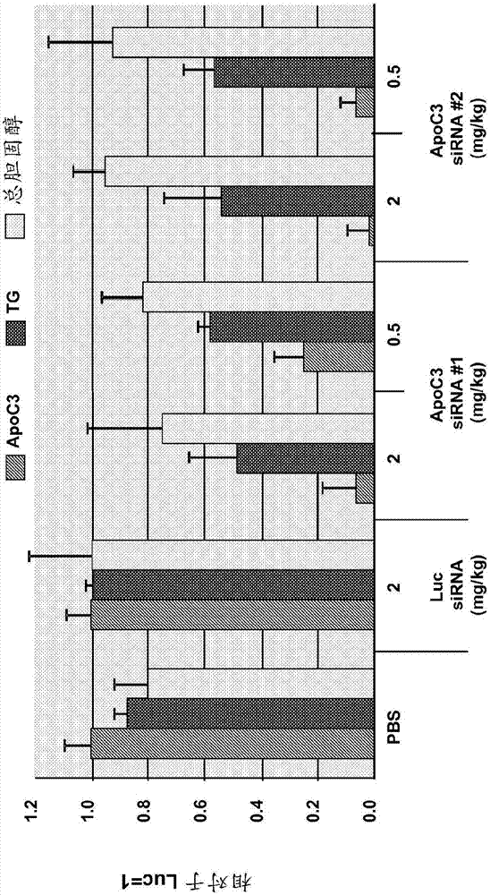b体育_北工大都柏林学院 创新型人才的摇篮(图1) b体育