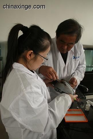 搜狗浏览器怎么设置双击关闭网页:b体育(图4) b体育