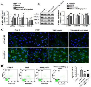 两江新区同茂大道方案优化设计完成【Bsports必一体育】(图1) 必一