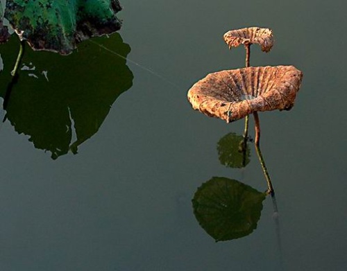 b体育|2012最性感的BMW i8 Spyder概念车(图1) 必一