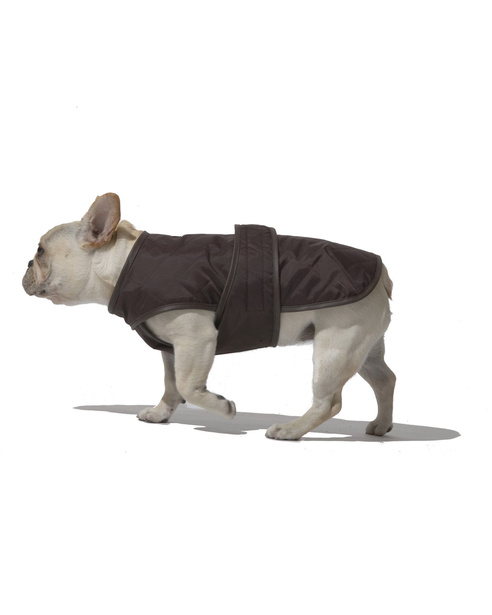 Bsports必一体育-【平面】中式糕点品牌及空间设计(图2) b体育