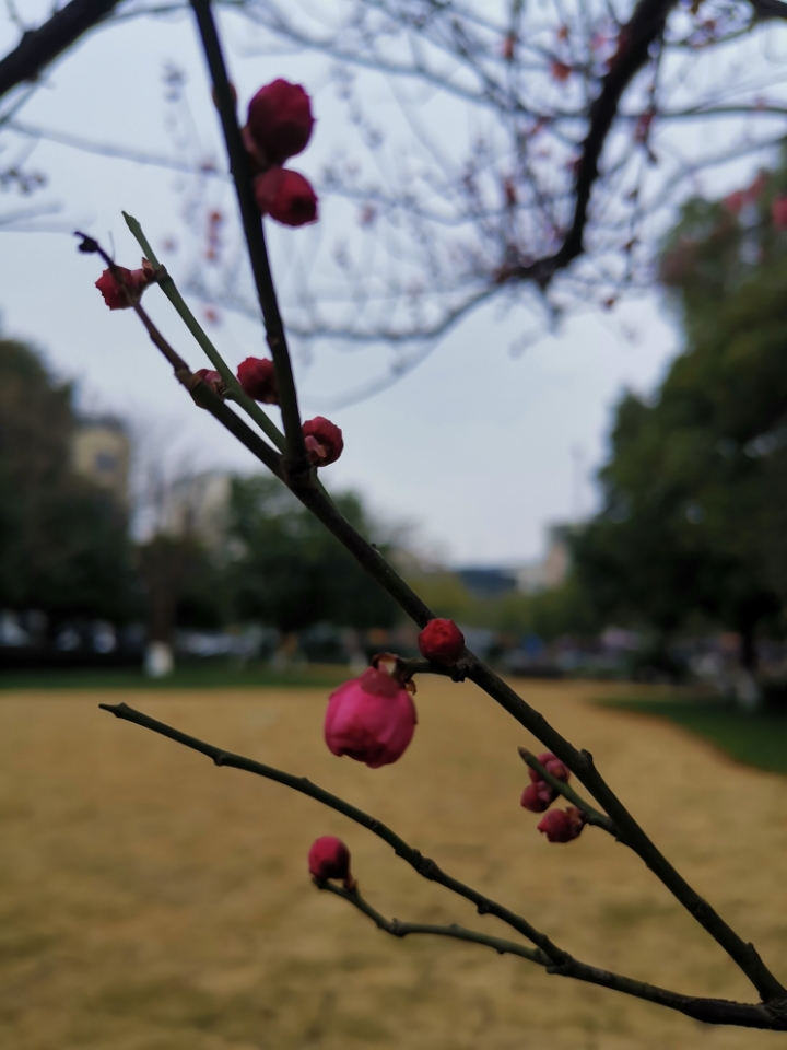 Bsports必一体育:腾讯将于4月23日发布第一款区块链游戏(图1) 必一