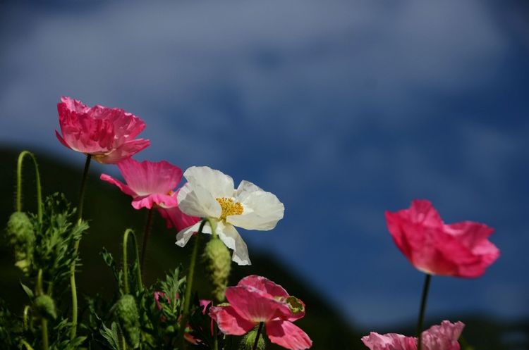 
未来13天 忖量浓浓 旧情沸腾 前任变真爱的4大星座“Bsports必一体育”(图2)