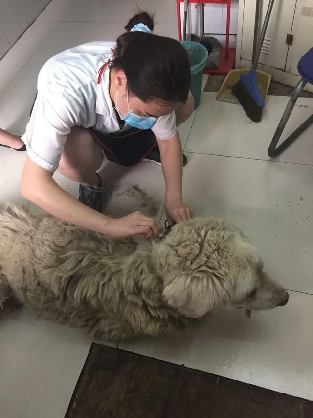 CAD迷你看图的安装和使用介绍‘必一’(图2) Bsports必一体育