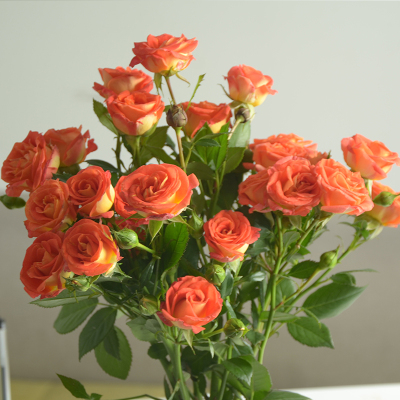 知黎民冷暖,这波服务很贴心-必一(图2) 必一