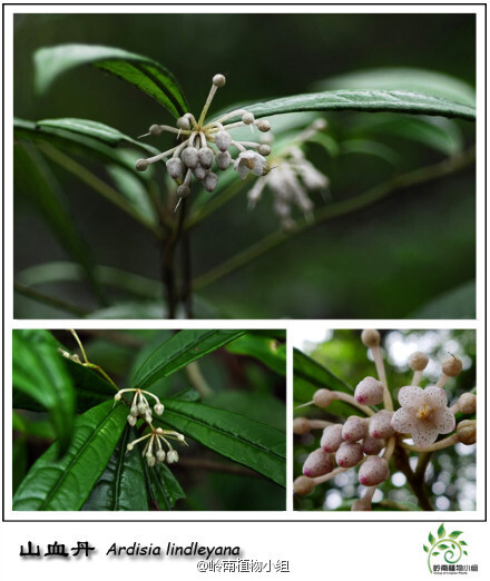 情侣签到365天获1000现金?APP都下架了-Bsports必一体育(图4) Bsports必一体育