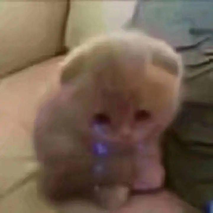 东来南往“b体育”(图9)
东来南往“b体育”(图9)