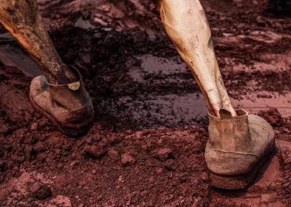 【必一】史上好用货币转换App出新版!算钱神器(图1) b体育