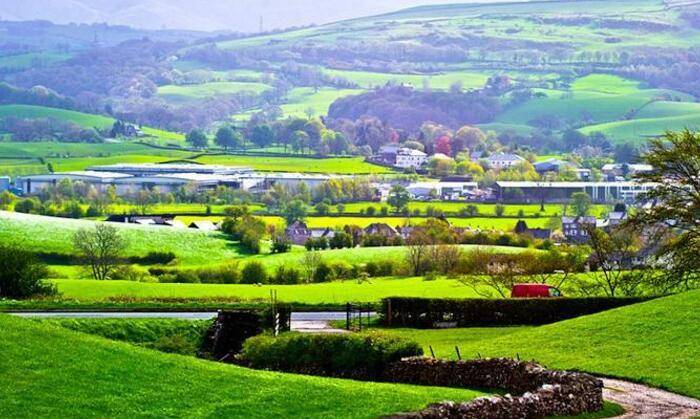 Bsports必一体育_
老人言： 两树夹一房, 家败人又亡, 这句俗语说的是什么意思(图6)