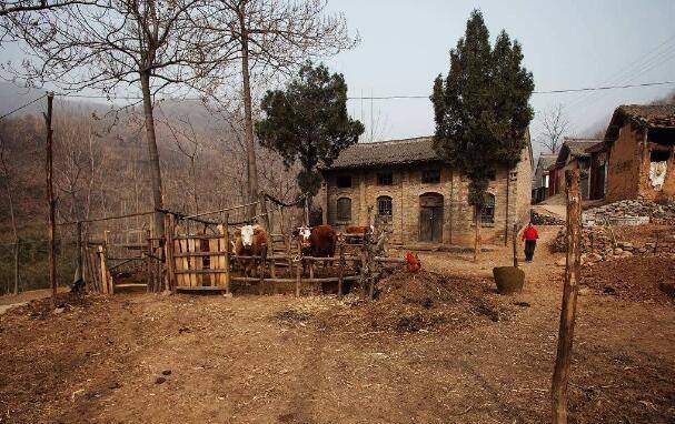 Bsports必一体育_
老人言： 两树夹一房, 家败人又亡, 这句俗语说的是什么意思(图8)