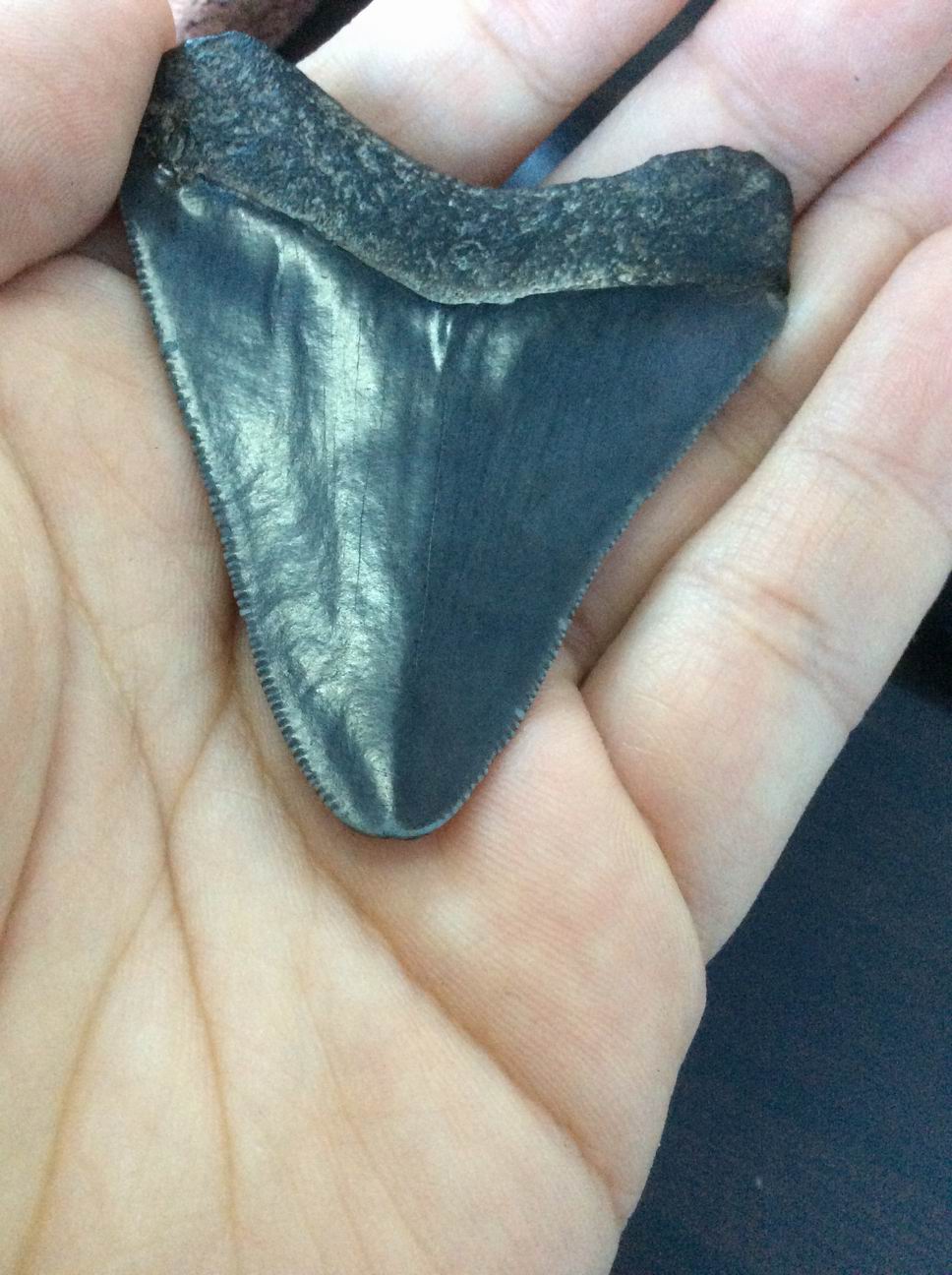 黄金档来了&传媒行业2021年焦点主线【b体育】(图1) 必一