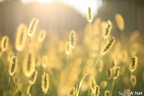 北京大学体育馆“必一”(图3) 必一