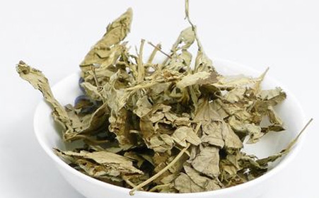 如何选择自媒体平台?看看过来人怎么说-必一(图1) b体育