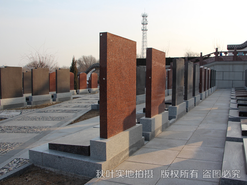 Bsports必一体育-
IP署理的利益是什么?(图3) b体育