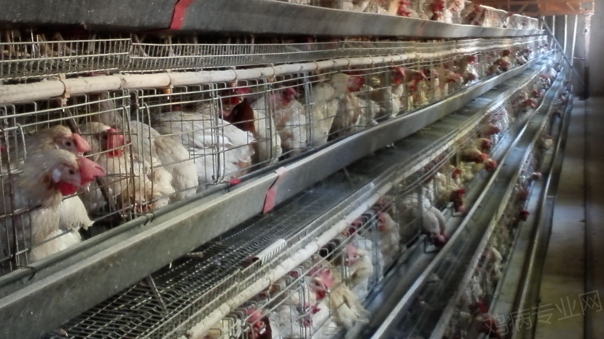 微信:非认证公众号210天不活跃将被注销_必一(图3) Bsports必一体育