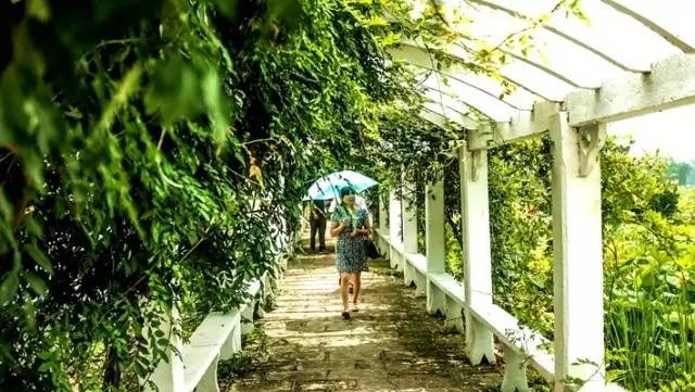 自媒体内容创业,最赚钱的平台,推荐这3个|Bsports必一体育(图4) b体育