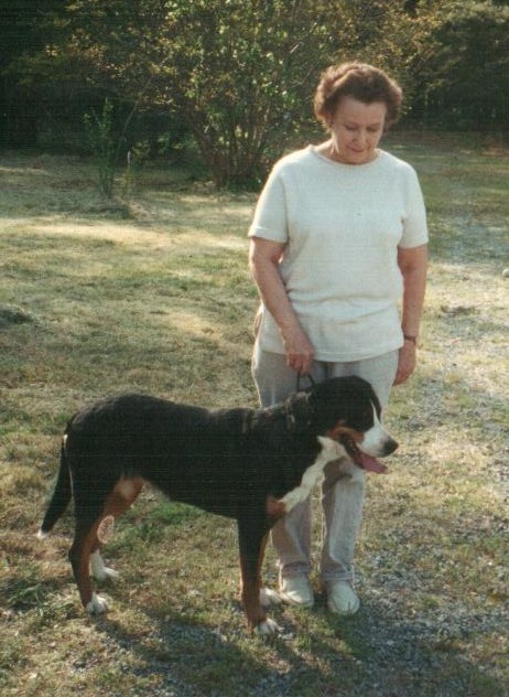 【Bsports必一体育】画面美爆!腾讯口碑神作销量公布:惊人(图1) 必一