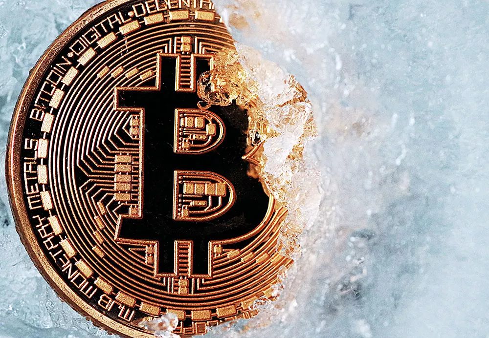 vipabc携知名心灵导师赖佩霞 掀起在线直播新浪潮:Bsports必一体育(图2) 必一