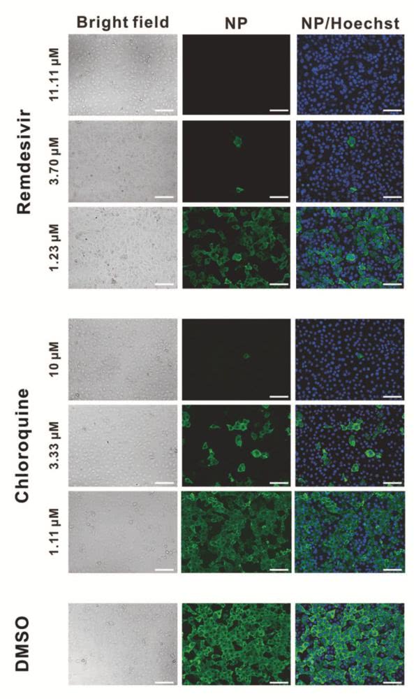 芬兰Rudanko+Kankkunen赢得Aurikokivi学校设计竞赛:Bsports必一体育(图2) 必一