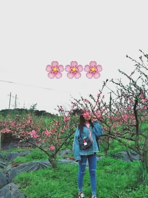 “b体育”“十大堵互联网公司”出炉:第一是它(图1) b体育