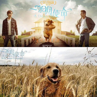 比利时布鲁塞尔郊外艺术家绿宅建筑设计“Bsports必一体育”(图1) 必一