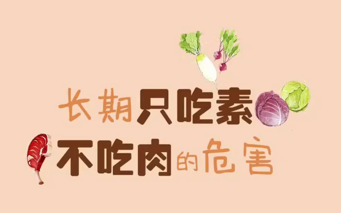 b体育