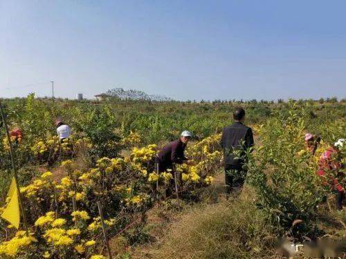 
“百名记者走下层·小康生活我打卡”大型主题宣传报道运动第十二站走进都昌‘必一’(图1)